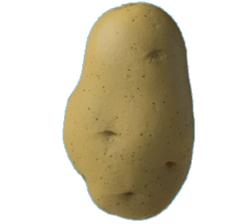 - Balle anti-stress en forme de patate GK475 - Balle anti-stress en forme de patate GK475