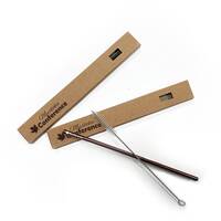 Ensemble de paille en inox et brosse