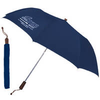 parapluie-2