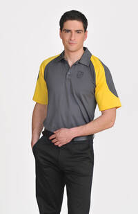 Polo technique